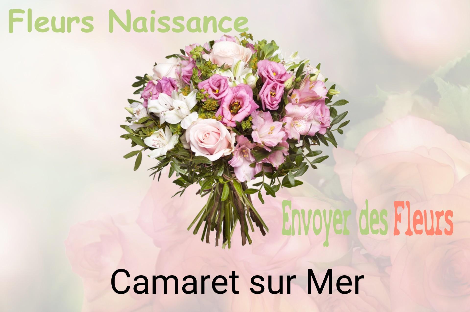 Bouquet de fleurs de naissance livré à Camaret-sur-Mer