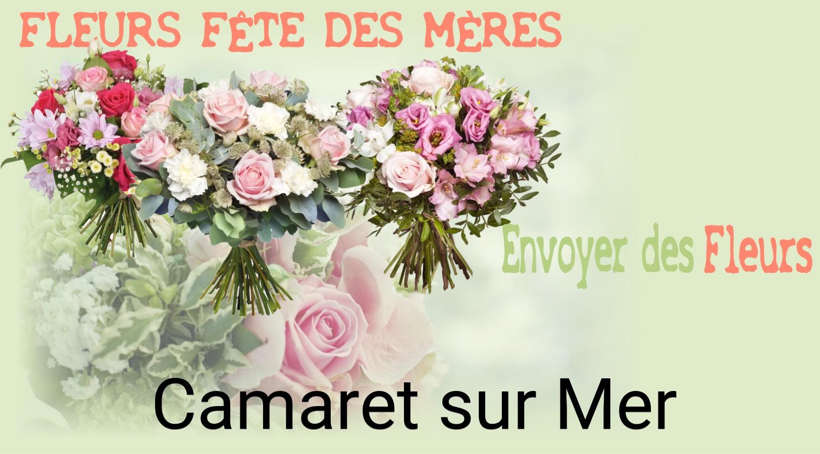 Bouquet de Fête des Mères livré à Camaret-sur-Mer